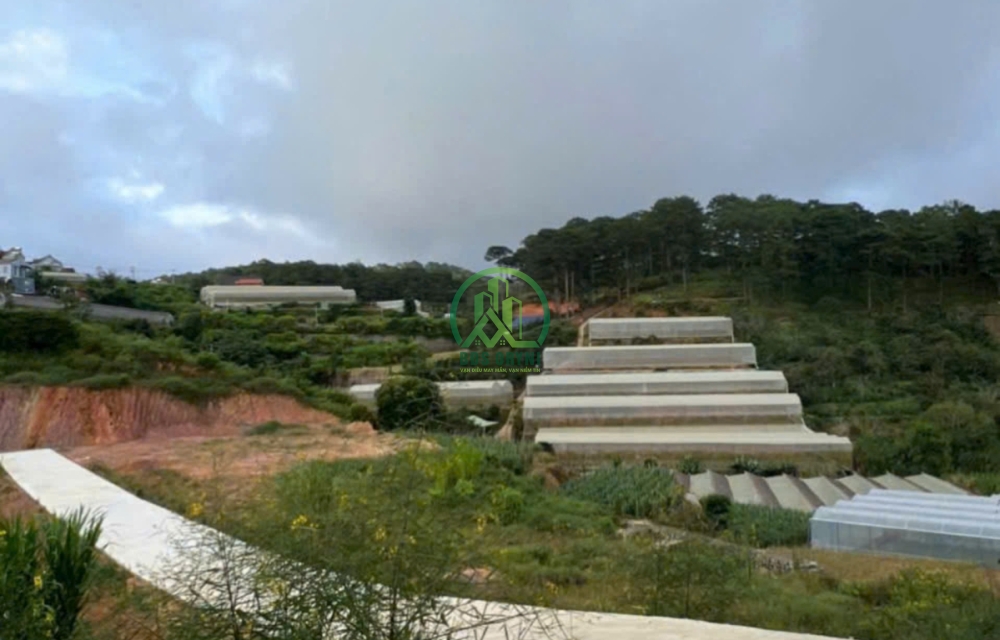 BÁN LÔ ĐẤT 1187M2 XÃ XUÂN THỌ - ĐÀ LẠT.