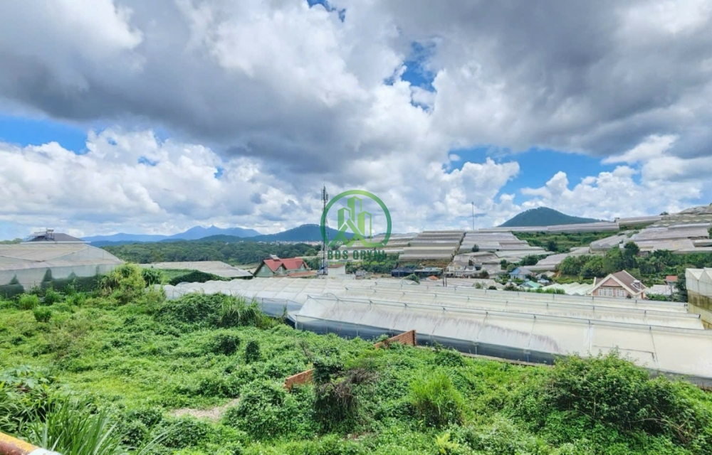 CẦN BÁN NHÀ ĐƯỜNG LƯƠNG THẾ VINH - P3 - ĐÀ LẠT