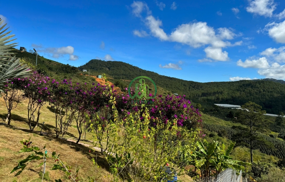 BÁN LÔ ĐẤT 1000M2 SẴN NHÀ ĐẠ SAR -LẠC DƯƠNG