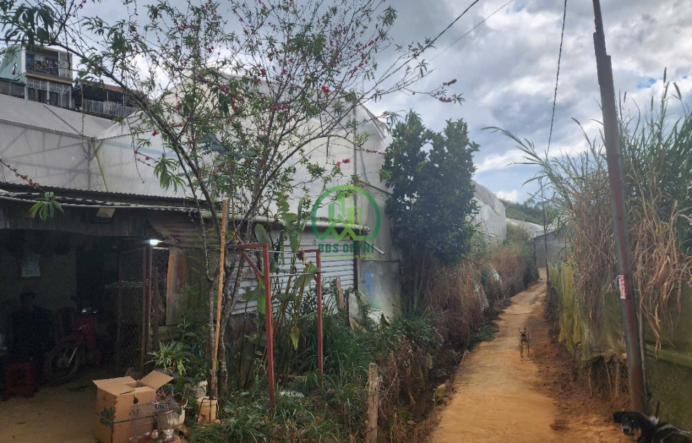   CẦN BÁN 3000M2 ĐẤT THỊ TRẤN LẠC DƯƠNG, HUYỆN LẠC DƯƠNG,LÂM ĐỒNG