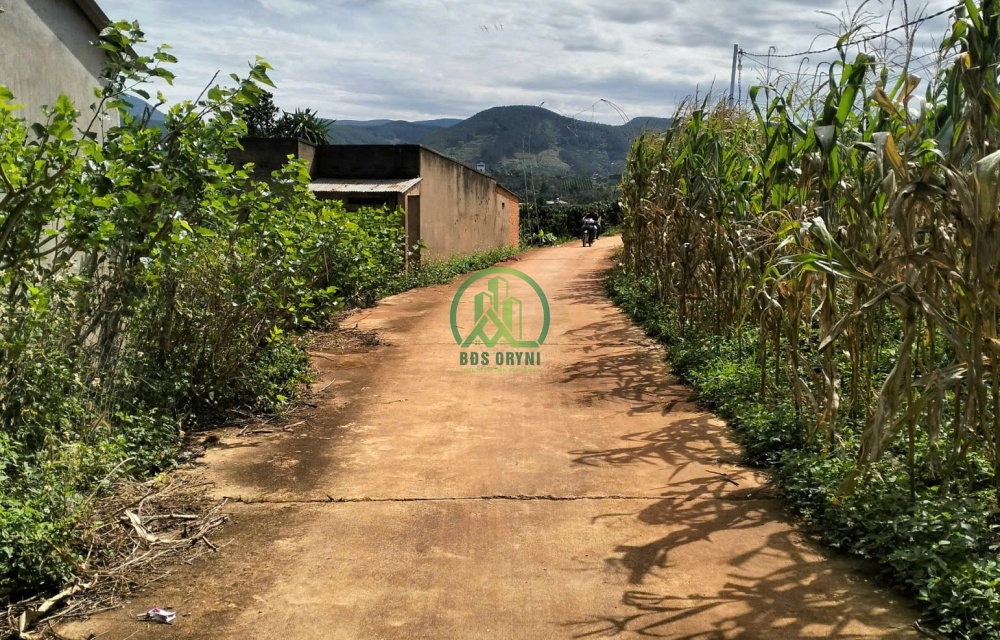 BÁN LÔ ĐẤT 1.218M2 GIA LÂM - NAM BAN - LÂM HÀ.