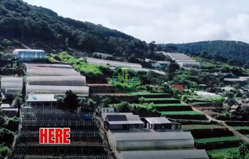 BÁN LÔ ĐẤT 1.218M2 ĐƯỜNG TRẦN THÁI TÔNG - P11 - ĐÀ LẠT.