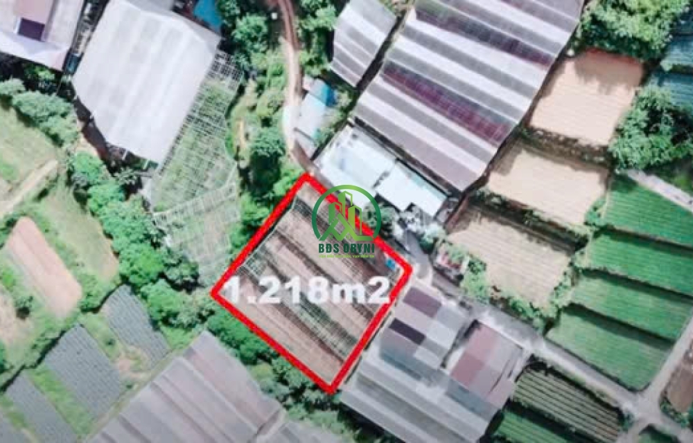 BÁN LÔ ĐẤT NÔNG NGHIỆP TRẦN THÁI TÔNG - P11 - ĐÀ LẠT