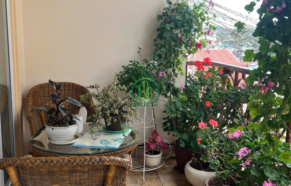 BÁN BIỆT THỰ ĐẸP ĐƯỜNG GIO AN - P5 - ĐÀ LẠT