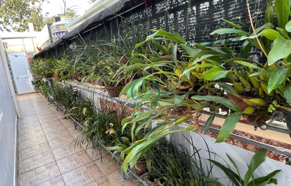 BÁN BIỆT THỰ ĐẸP ĐƯỜNG GIO AN - P5 - ĐÀ LẠT