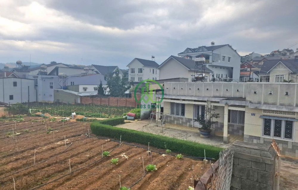 CẦN BÁN NHÀ ĐẤT ĐƯỜNG NGUYỄN AN NINH- P6- ĐÀ LẠT