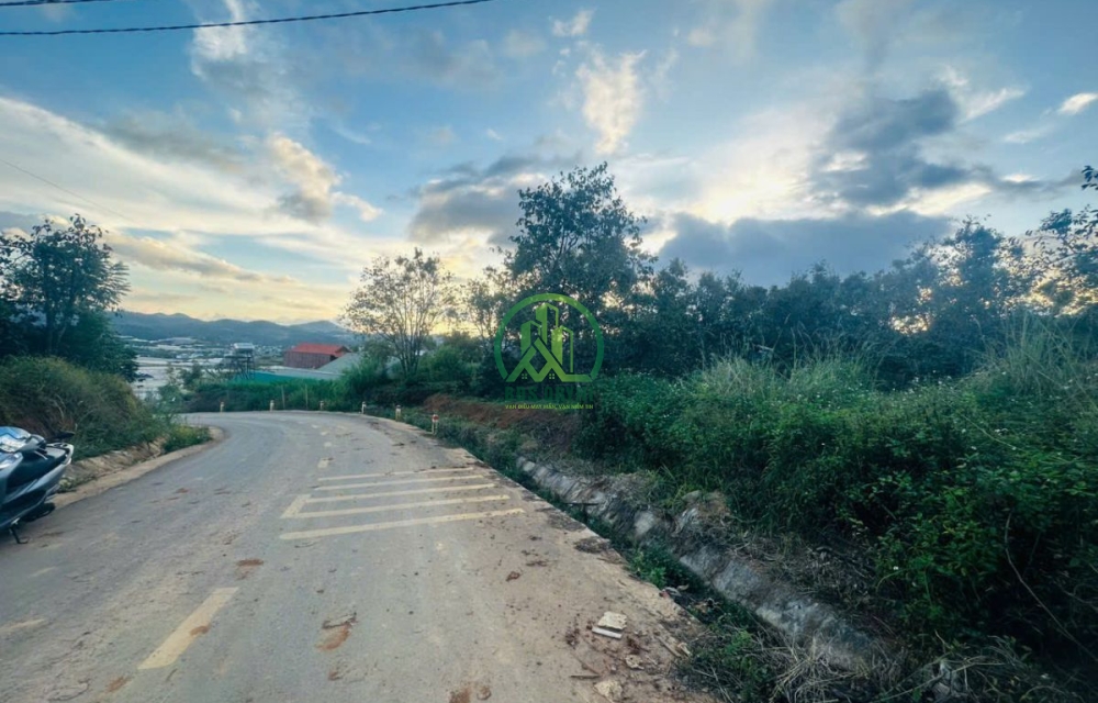 CẦN BÁN ĐẤT MẶT TIỀN ĐƯỜNG NHỰA XÃ ĐẠ SAR - LẠC DƯƠNG - LÂM ĐỒNG