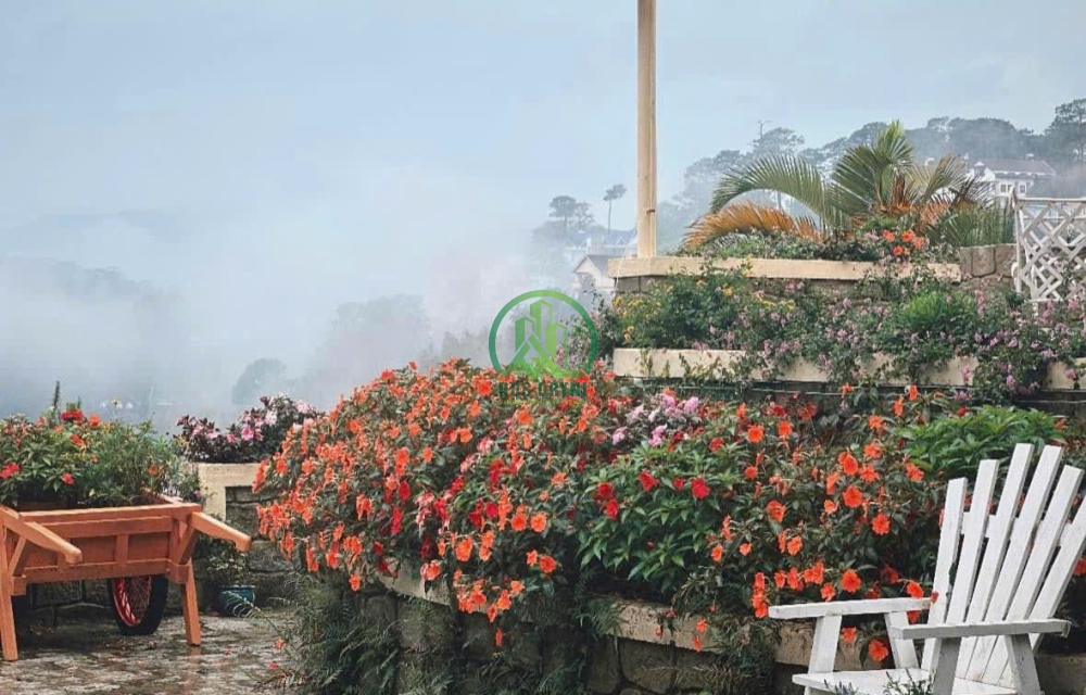CẦN BÁN KHÁCH SẠN CỔ 2 MẶT TIỀN ĐƯỜNG ĐẶNG THÁI THÂN - P3 - ĐÀ LẠT