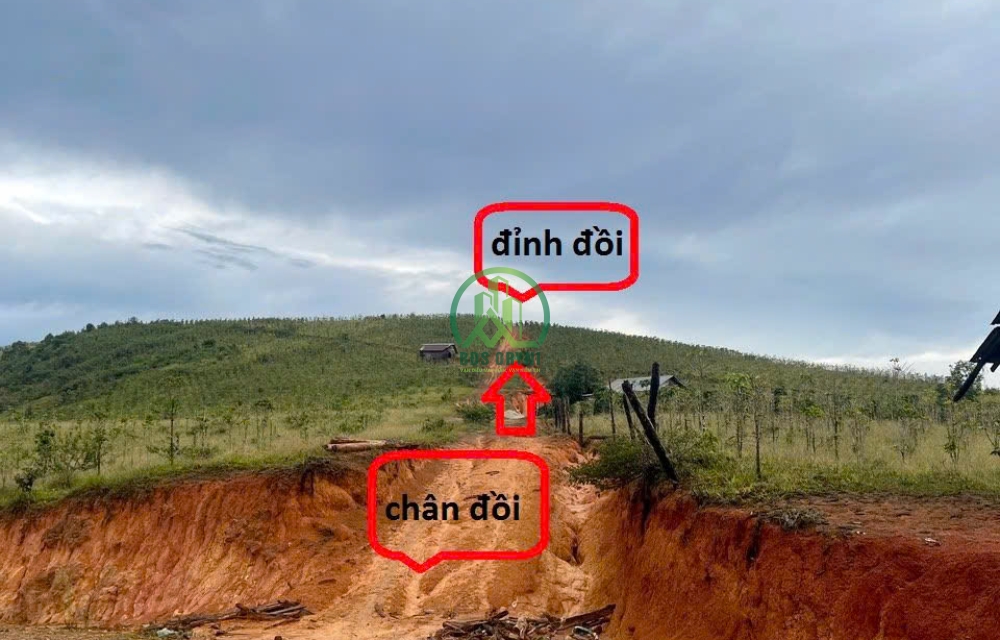 CẦN BÁN GẤP LÔ ĐẤT TIỂU KHU 118 XÃ ĐẠ SAR - LẠC DƯƠNG
