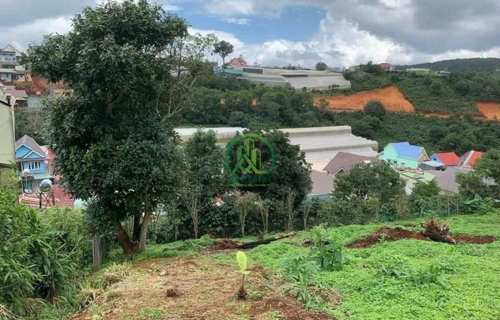 BÁN ĐẤ𝐓 𝐊𝐐𝐇 𝐗𝐔Â𝐍 𝐓𝐑ƯỜ𝐍𝐆 - ĐÀ 𝐋Ạ𝐓 - 𝟒 𝐓Ỷ.