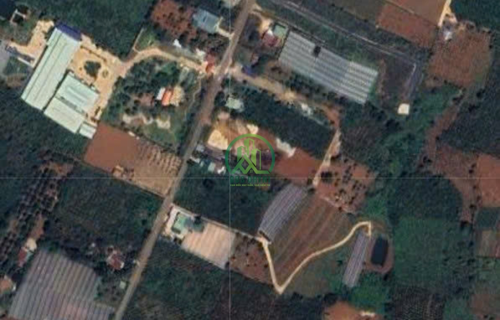 ĐẤT TÀ NUNG - ĐÀ LẠT - Lâm Đồng.