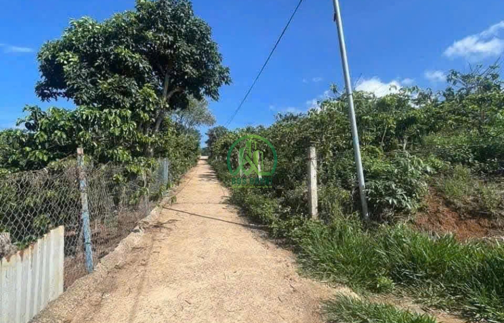 ĐẤT TÀ NUNG - ĐÀ LẠT - Lâm Đồng.