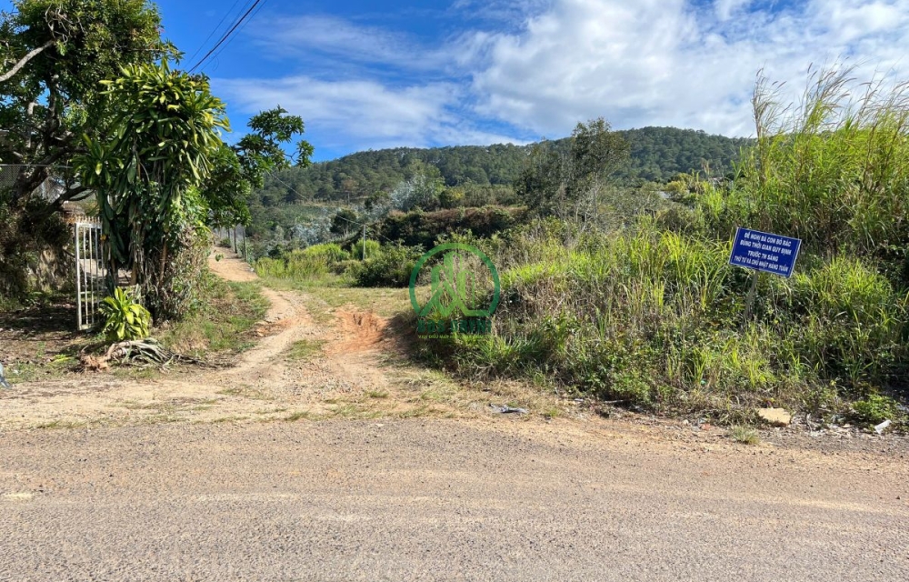 CẦN BÁN ĐẤT VIEW ĐẸP XUÂN SƠN XUÂN TRƯỜNG- ĐÀ LẠT