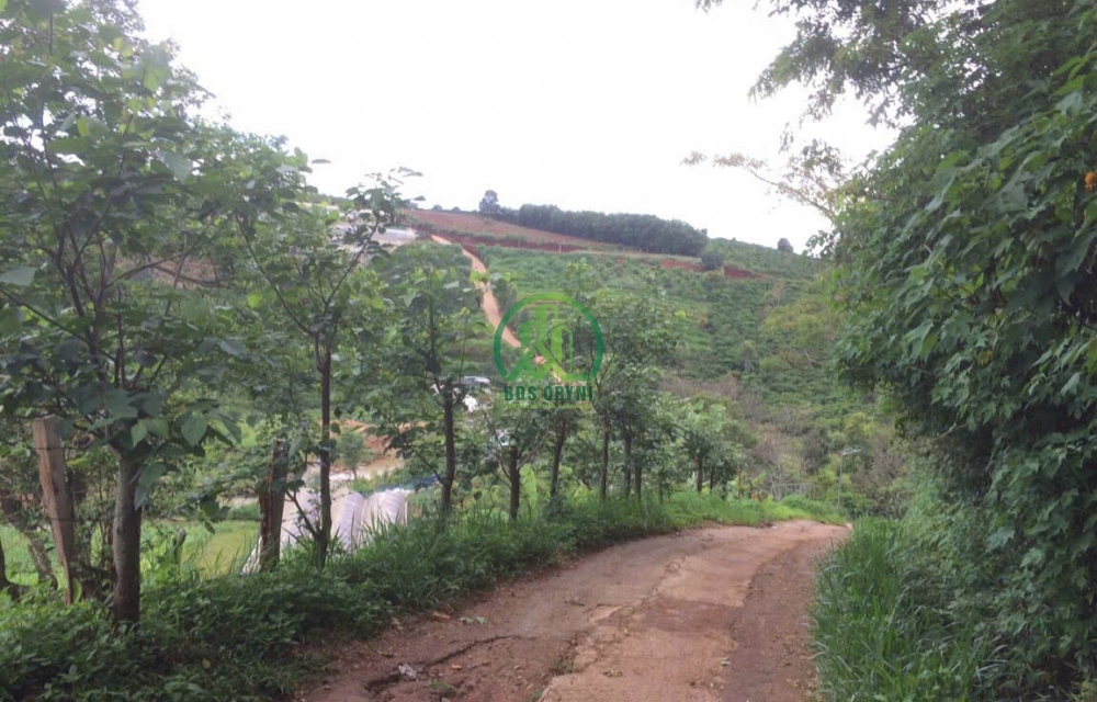 BÁN LÔ ĐẤT 3900M2 TÀ NUNG - ĐÀ LẠT.