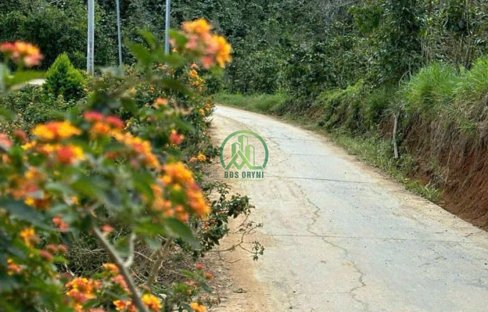 BÁN LÔ ĐẤT 4200M2 XUÂN TRƯỜNG - ĐÀ LẠT.