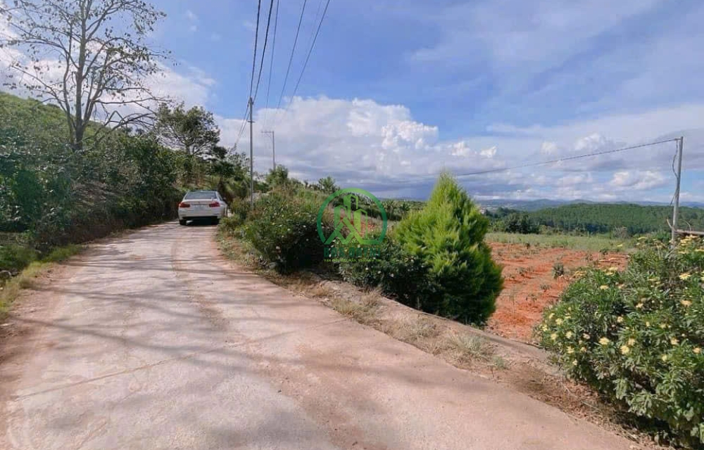 BÁN LÔ ĐẤT 4200M2 XUÂN TRƯỜNG - ĐÀ LẠT.