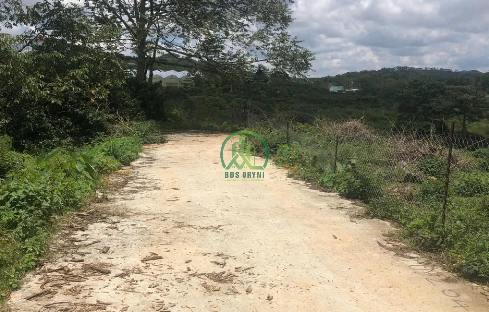 CẦN BÁN ĐẤT MĂNG LIN, PHƯỜNG 7, TP. ĐÀ LẠT