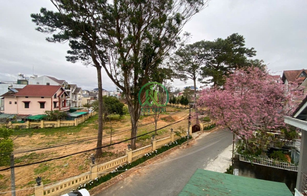 CẦN BÁN  BIỆT THỰ ĐẲNG CẤP TẠI ĐƯỜNG CÔ GIANG, PHƯỜNG 9, ĐÀ LẠT
