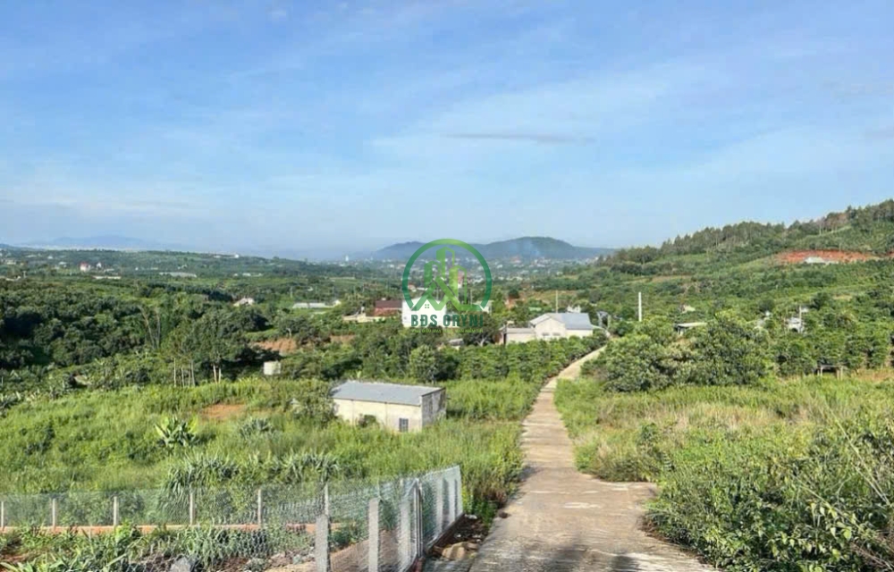 CẦN BÁN ĐẤT FO XÃ ĐÔNG THANH - NAM BAN - LÂM ĐỒNG