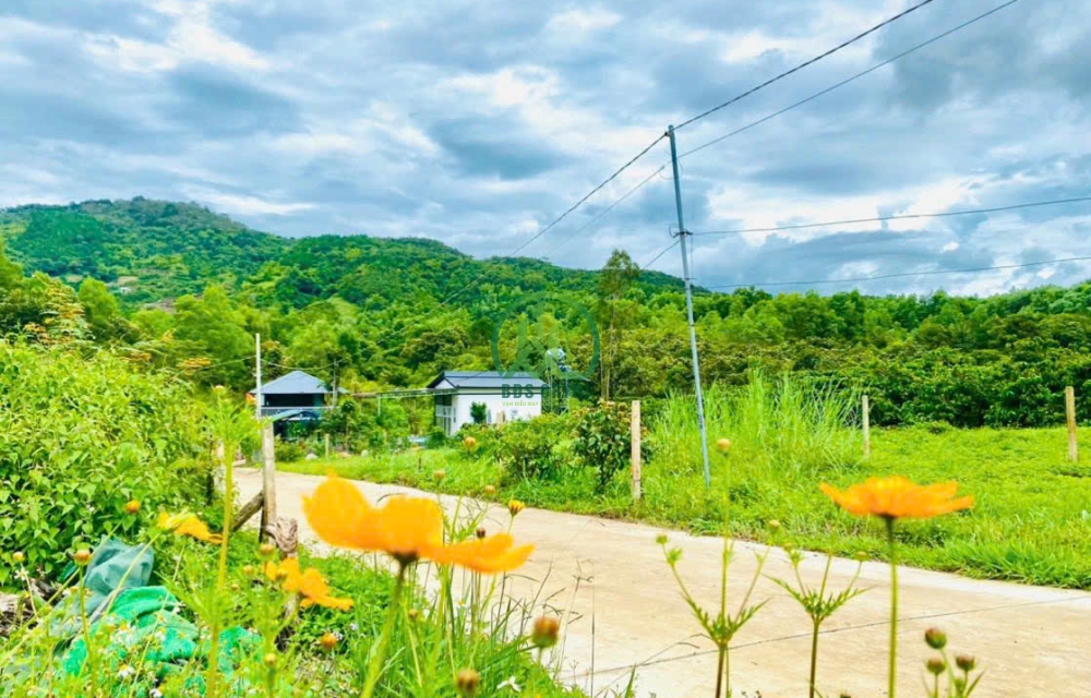 CẦN BÁN ĐẤT THÔN AN TĨNH, LIÊN HIỆP, ĐỨC TRỌNG, LÂM ĐỒNG.