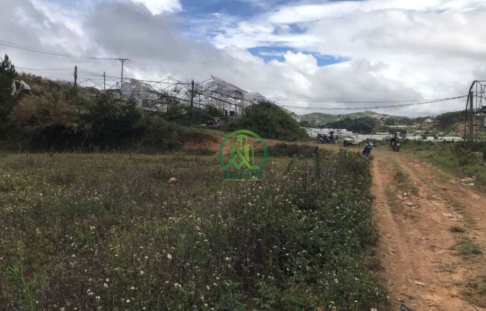 CẦN BÁN ĐẤT ĐANG TRỒNG HOA  XÃ ĐẠ SAR, HUYỆN LẠC DƯƠNG, LÂM ĐỒNG