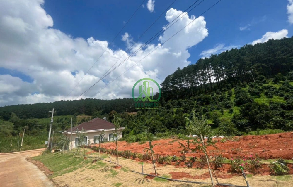 CẦN BÁN ĐẤT TẶNG NGÔI NHÀ NHỎ ĐANG KINH DOANH HOMESTAY TẠI TÀ NUNG - ĐÀ LẠT