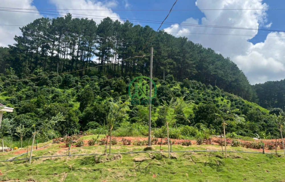 CẦN BÁN ĐẤT TẶNG NGÔI NHÀ NHỎ ĐANG KINH DOANH HOMESTAY TẠI TÀ NUNG - ĐÀ LẠT