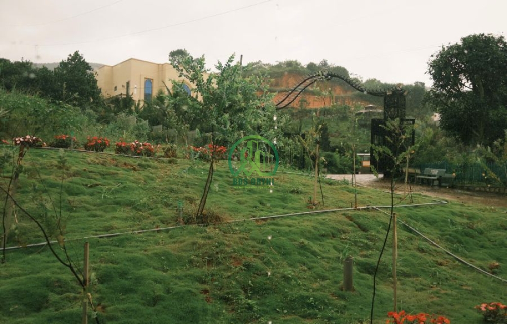 CẦN BÁN ĐẤT TẶNG NGÔI NHÀ NHỎ ĐANG KINH DOANH HOMESTAY TẠI TÀ NUNG - ĐÀ LẠT