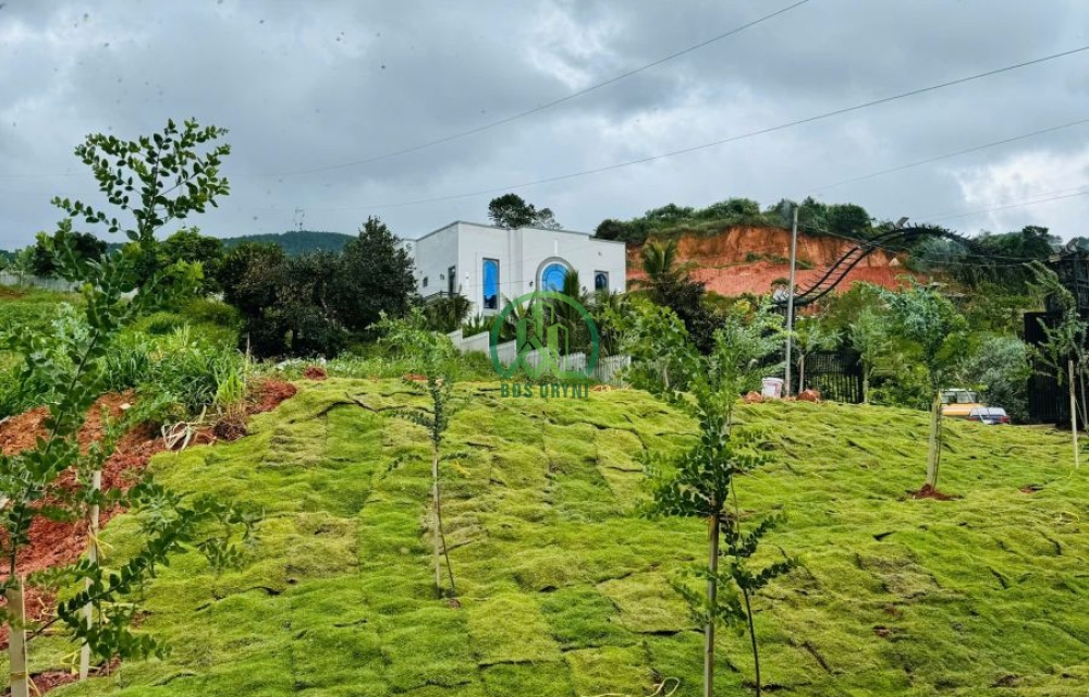 CẦN BÁN ĐẤT TẶNG NGÔI NHÀ NHỎ ĐANG KINH DOANH HOMESTAY TẠI TÀ NUNG - ĐÀ LẠT
