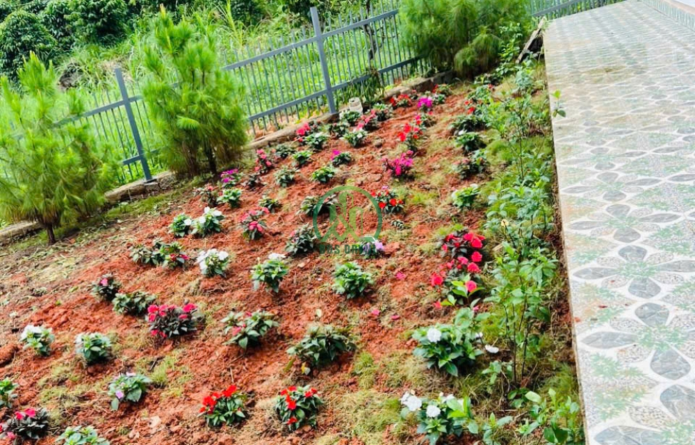 CẦN BÁN ĐẤT TẶNG NGÔI NHÀ NHỎ ĐANG KINH DOANH HOMESTAY TẠI TÀ NUNG - ĐÀ LẠT