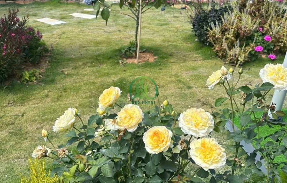 CẦN BÁN QUÁN CÀ PHÊ VỊ TRÍ ĐẮC ĐỊA TẠI ĐƯỜNG VẠN THÀNH - P5 - ĐÀ LẠT