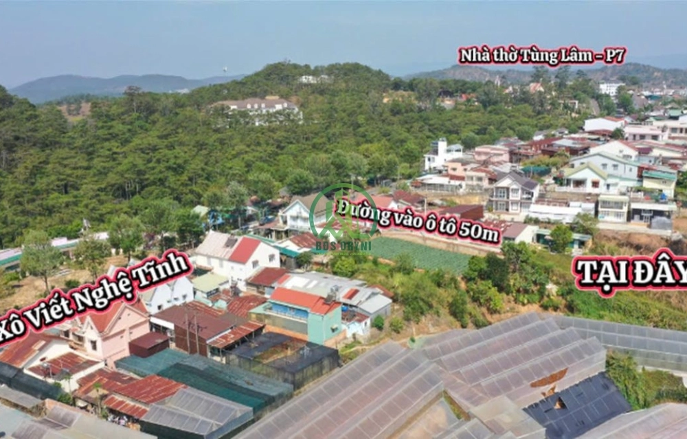 CẦN BÁN ĐẤT NÔNG NGHIỆP ĐƯỜNG XÔ VIẾT NGHỆ TĨNH - P7 - ĐÀ LẠT
