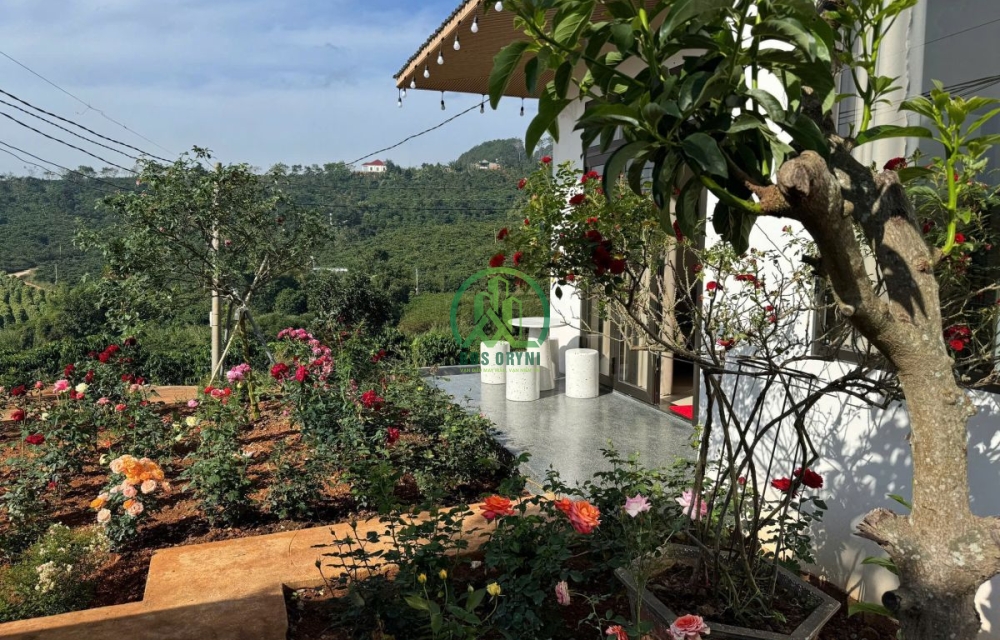 BÁN NHÀ SÂN VƯỜN GẦN NGAY CÀ PHÊ MÊ LINH, LÂM HÀ 