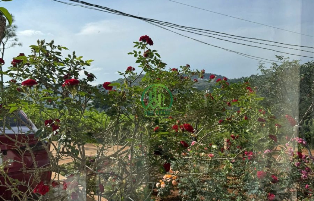 BÁN NHÀ SÂN VƯỜN GẦN NGAY CÀ PHÊ MÊ LINH, LÂM HÀ 