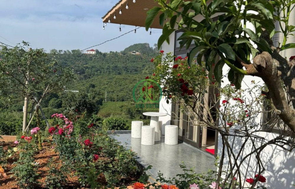 BÁN NHÀ SÂN VƯỜN GẦN NGAY CÀ PHÊ MÊ LINH, LÂM HÀ 