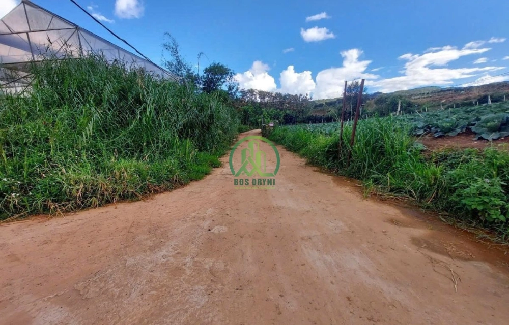 CHO THUÊ ĐẤT 2 MẶT TIỀN XÃ ĐẠ SAR - LẠC DƯƠNG