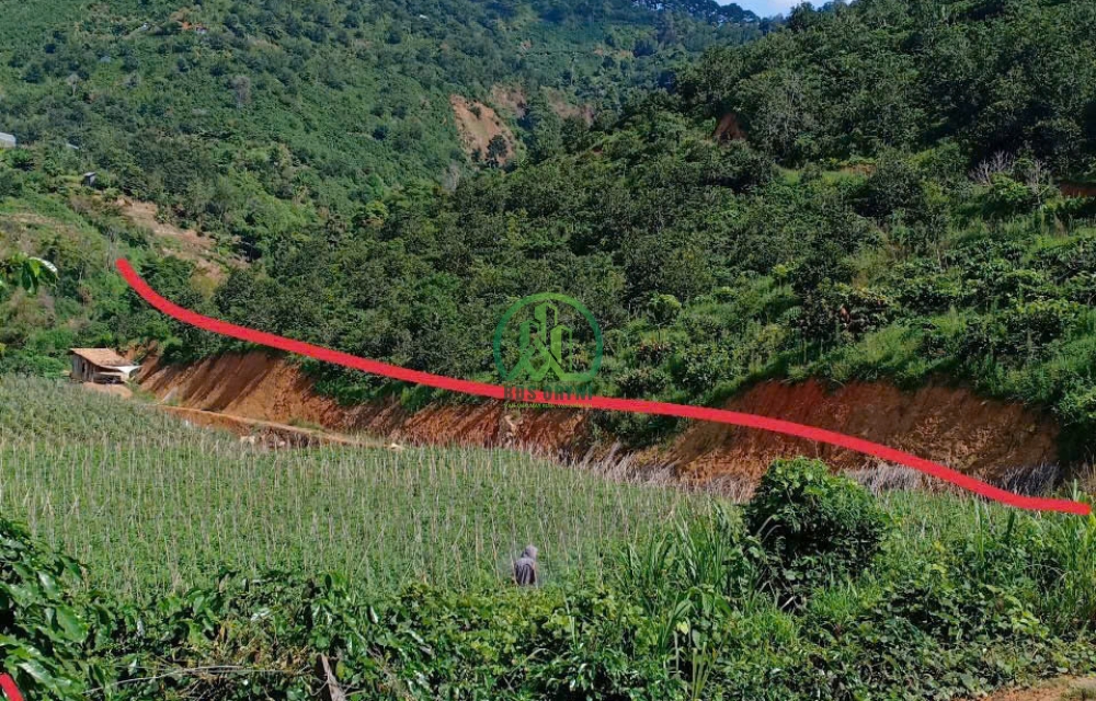 CẦN BÁN ĐẤT NÔNG NGHIỆP VIEW ĐẸP TRẠM HÀNH - ĐÀ LẠT