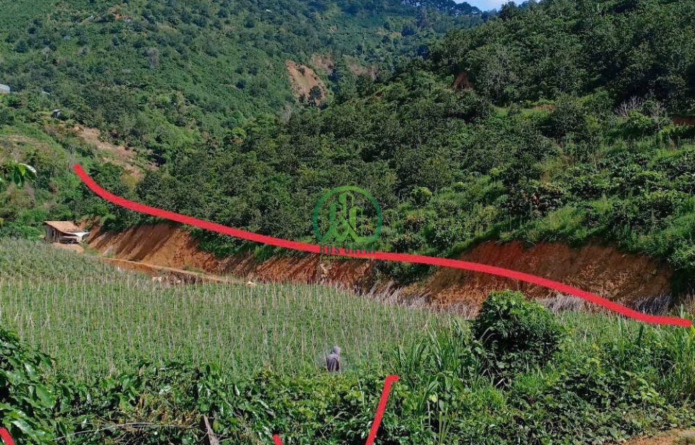 CẦN BÁN ĐẤT NÔNG NGHIỆP VIEW ĐẸP TRẠM HÀNH - ĐÀ LẠT