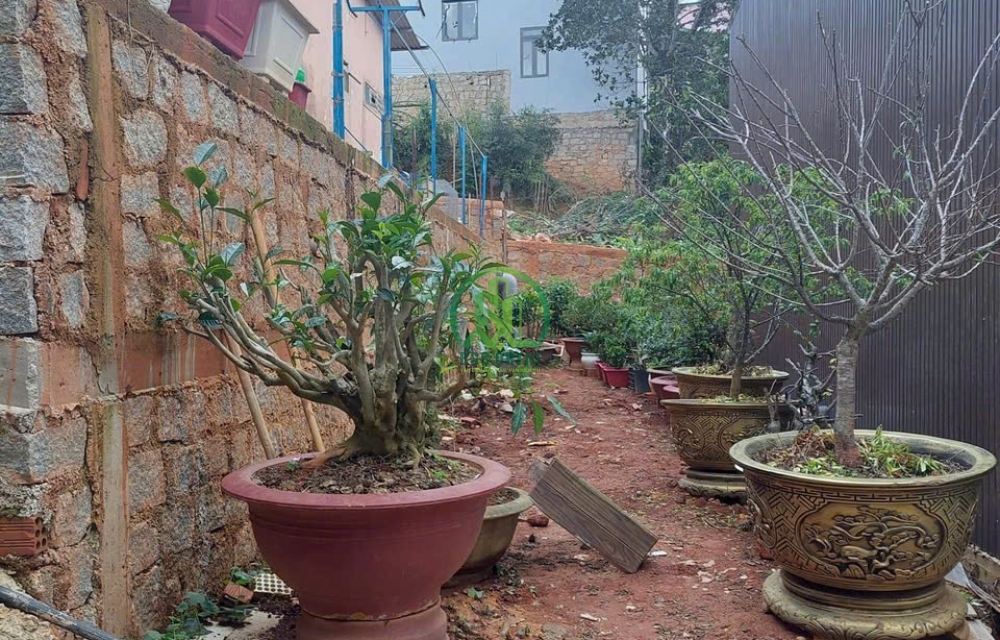 CẦN BÁN ĐẤT ĐƯỜNG CAO THẮNG, PHƯỜNG 6, TP. ĐÀ LẠT