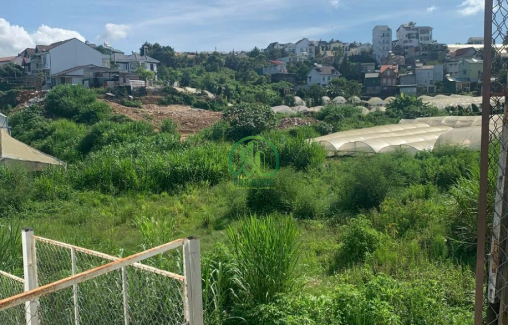 CẦN BÁN LÔ ĐẤT NÔNG NGHIỆP PHƯỜNG 8 - ĐÀ LẠT