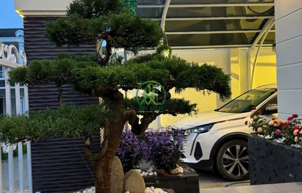 HẠ GIÁ BÁN VILLA SÂN VƯỜN. GẦN THUNG LŨNG TÌNH YÊU- P8- TP ĐÀ LẠT