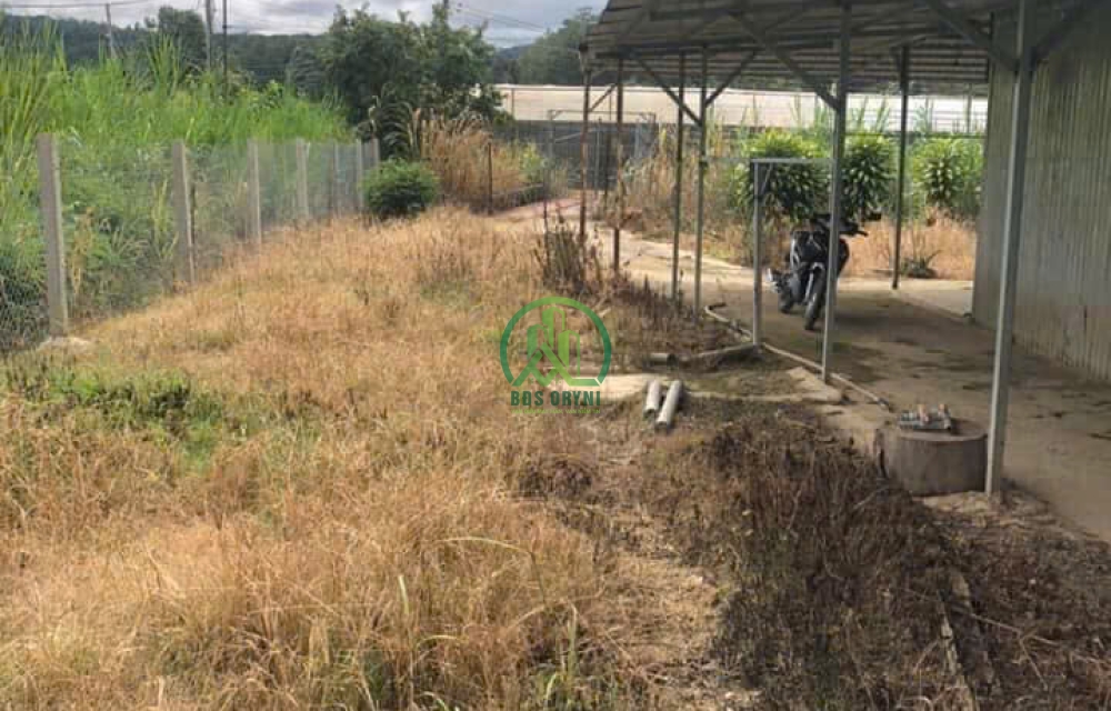 CẦN BÁN NHÀ GẤP NHÀ ĐẤT ĐƯỜNG MIMISA - P10 - ĐÀ LẠT