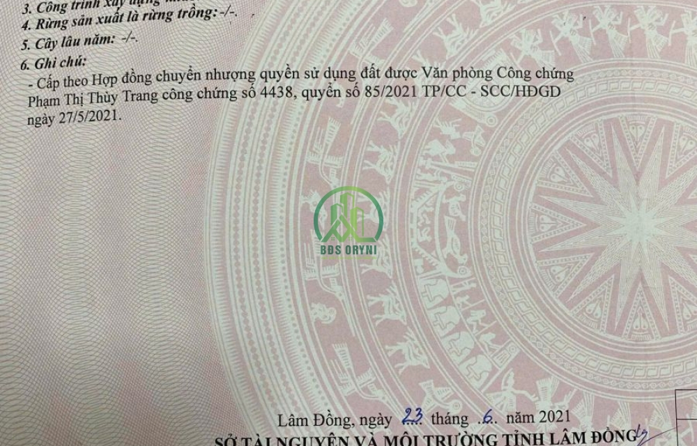 ✨ĐẤT ĐƯỜNG TRẦN ANH TÔNG,P8,ĐÀ LẠT GẦN ĐÀ LẠT HASFARM 