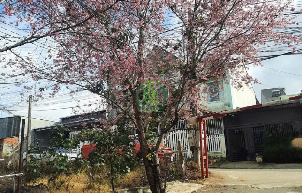 CẦN BÁN GẤP NHÀ ĐƯỜNG NGÔ GIA TỰ - P12 - ĐÀ LẠT