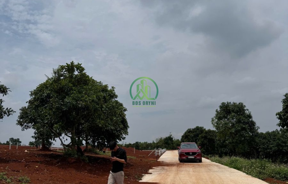 CẦN BÁN 2 LÔ ĐẤT THỊ TRẤN NAM BAN - LÂM HÀ