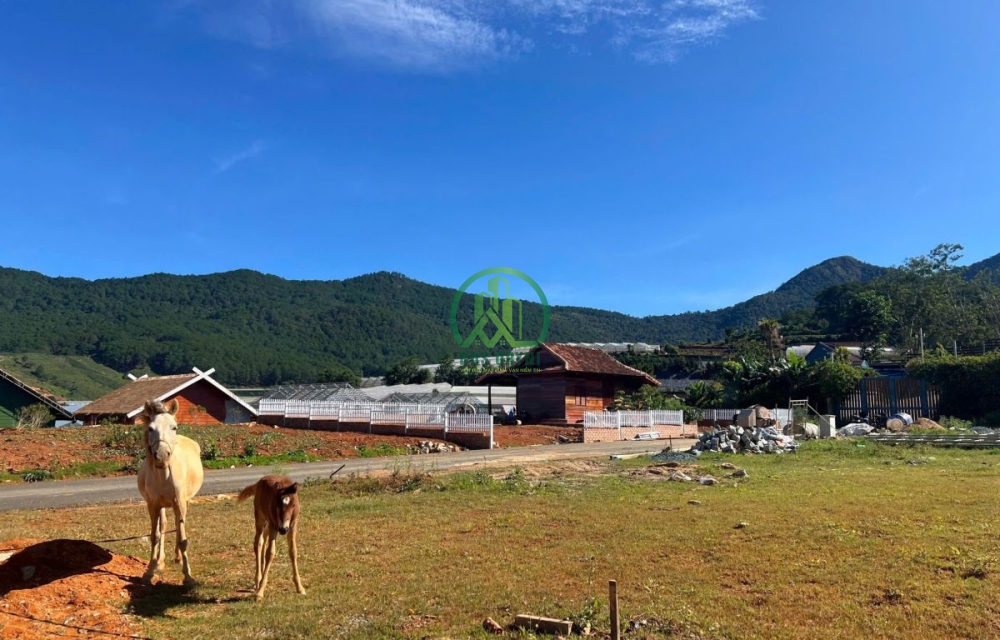 BÁN LÔ ĐẤT TRUNG TÂM LẠC DƯƠNG- ĐÀ LẠT VIEW SIÊU ĐẸP GIÁ 2 TỶ 350TR 