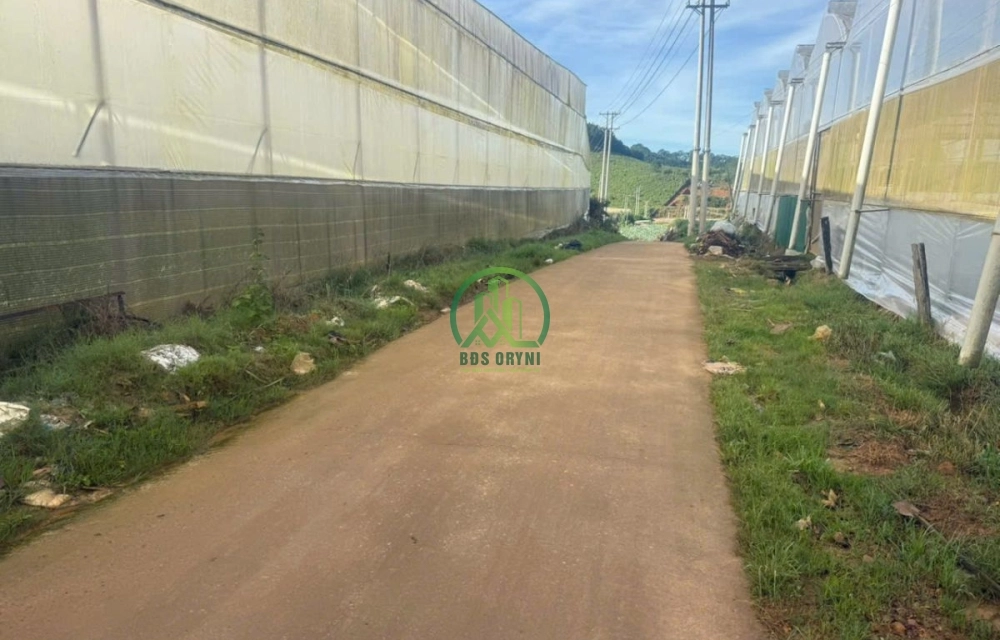 CẦN BÁN ĐẤT NÔNG NGHIỆP XÃ LÁT-LẠC DƯƠNG