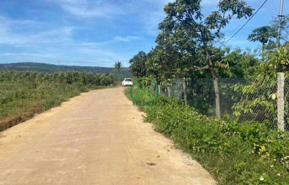 CẦN BÁN LÔ ĐẤT THỊ TRẤN ĐINH VĂN - LÂM HÀ