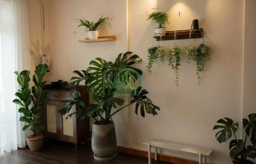 CẦN BÁN CĂN HOMESTAY KIM ĐỒNG - P6 - TP ĐÀ LẠT 