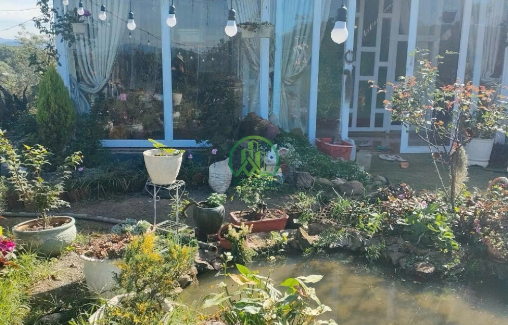 CẦN SANG NHƯỢNG LẠI FAMSTAY ROSE XÃ PHI TÔ - LÂM HÀ